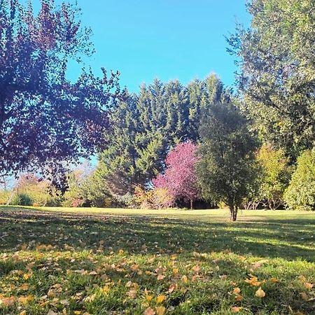 Cautiva Morena San Martin de los Andes Ngoại thất bức ảnh