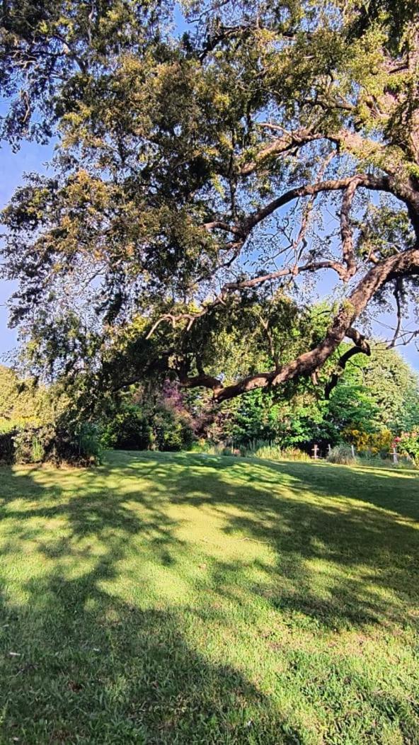 Cautiva Morena San Martin de los Andes Ngoại thất bức ảnh